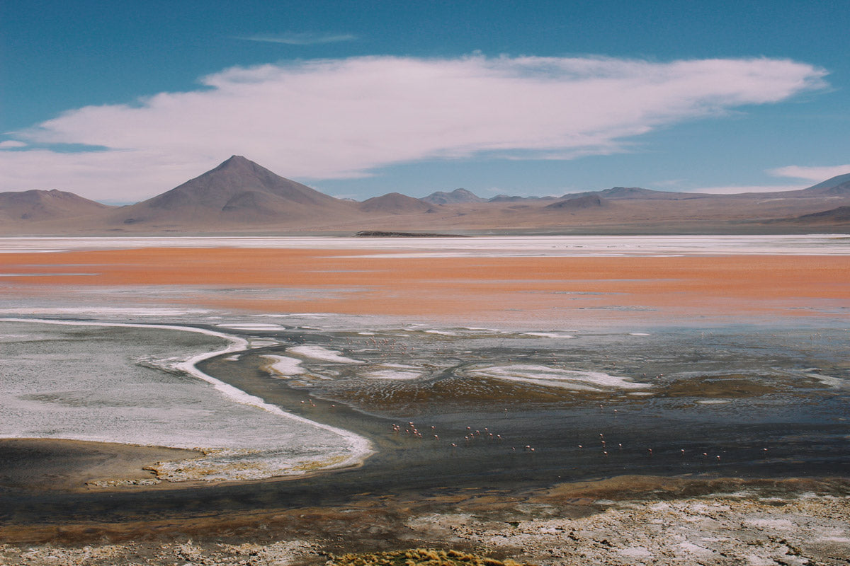 Laguna Colorada 24''x36''